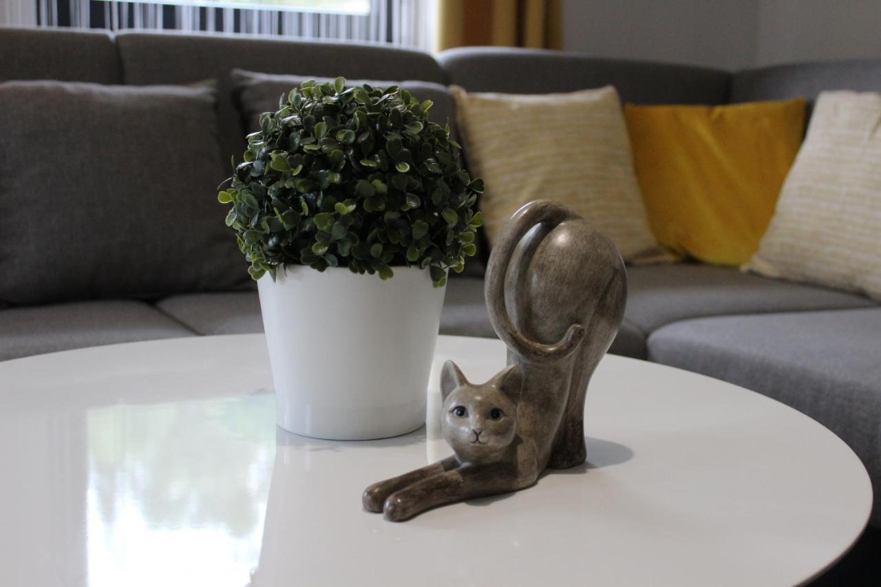 Apartamenty Swistak Maciej Dunajczan Bukowina Tatrzanska Luaran gambar