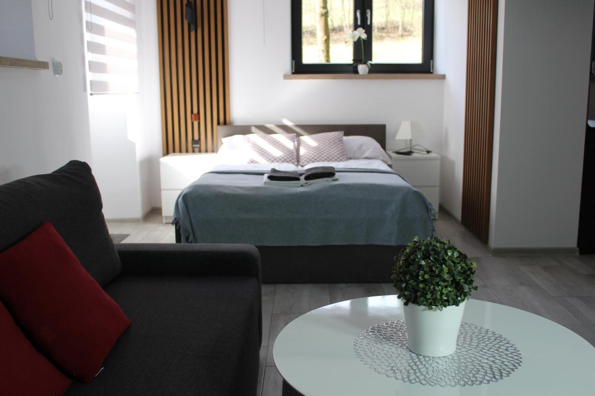 Apartamenty Swistak Maciej Dunajczan Bukowina Tatrzanska Luaran gambar